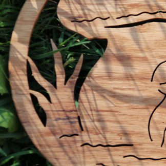 Collection végétaux