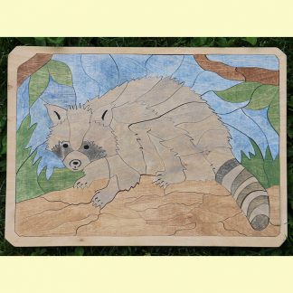 Puzzle raton laveur